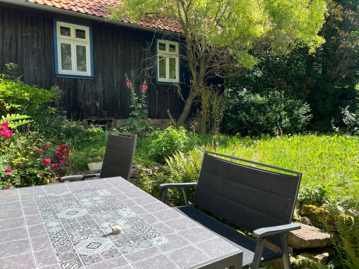 Villa "Kleinstes Haus Von Blankenburg" Urlaub In Einem Einzigartigen Baudenkmal Blankenburg  Exterior foto